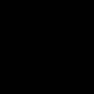 Meet your Posher, Adlee